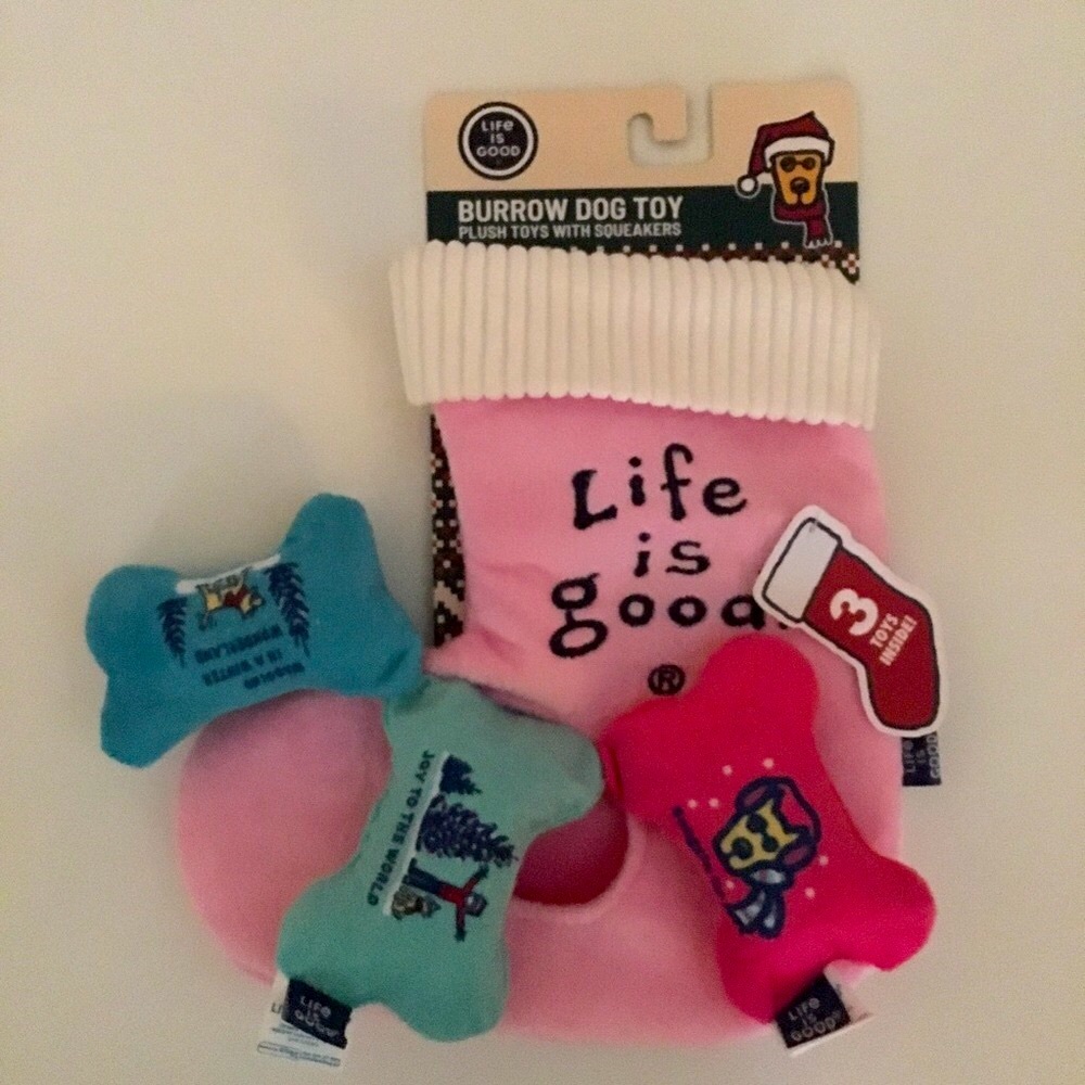NEW Dog Toy Burrow Interactive 4 pc Set Soft Stuffed Bones Squeak | Life is Good